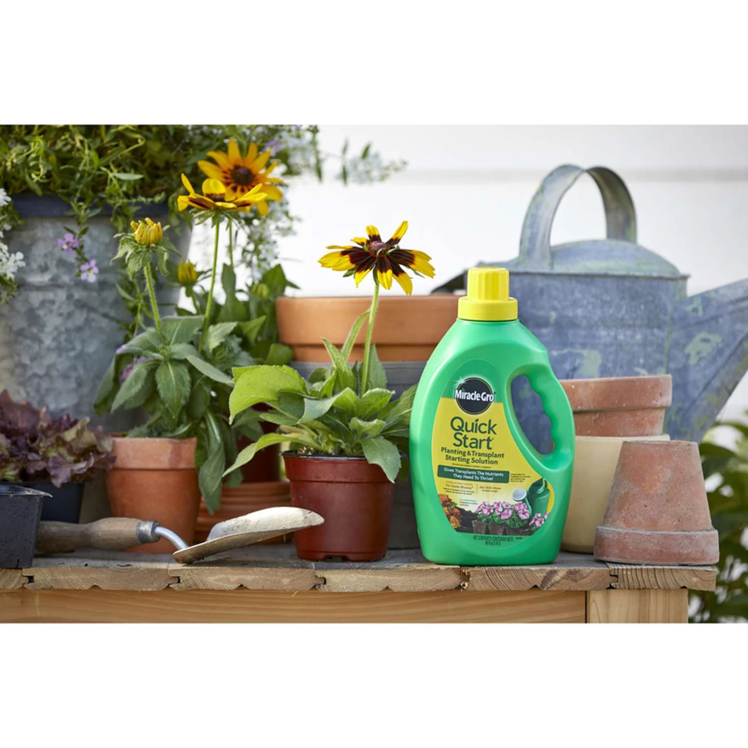 Miracle-Gro Quick Start Liquid Root Feeder 48 Oz - Image 6