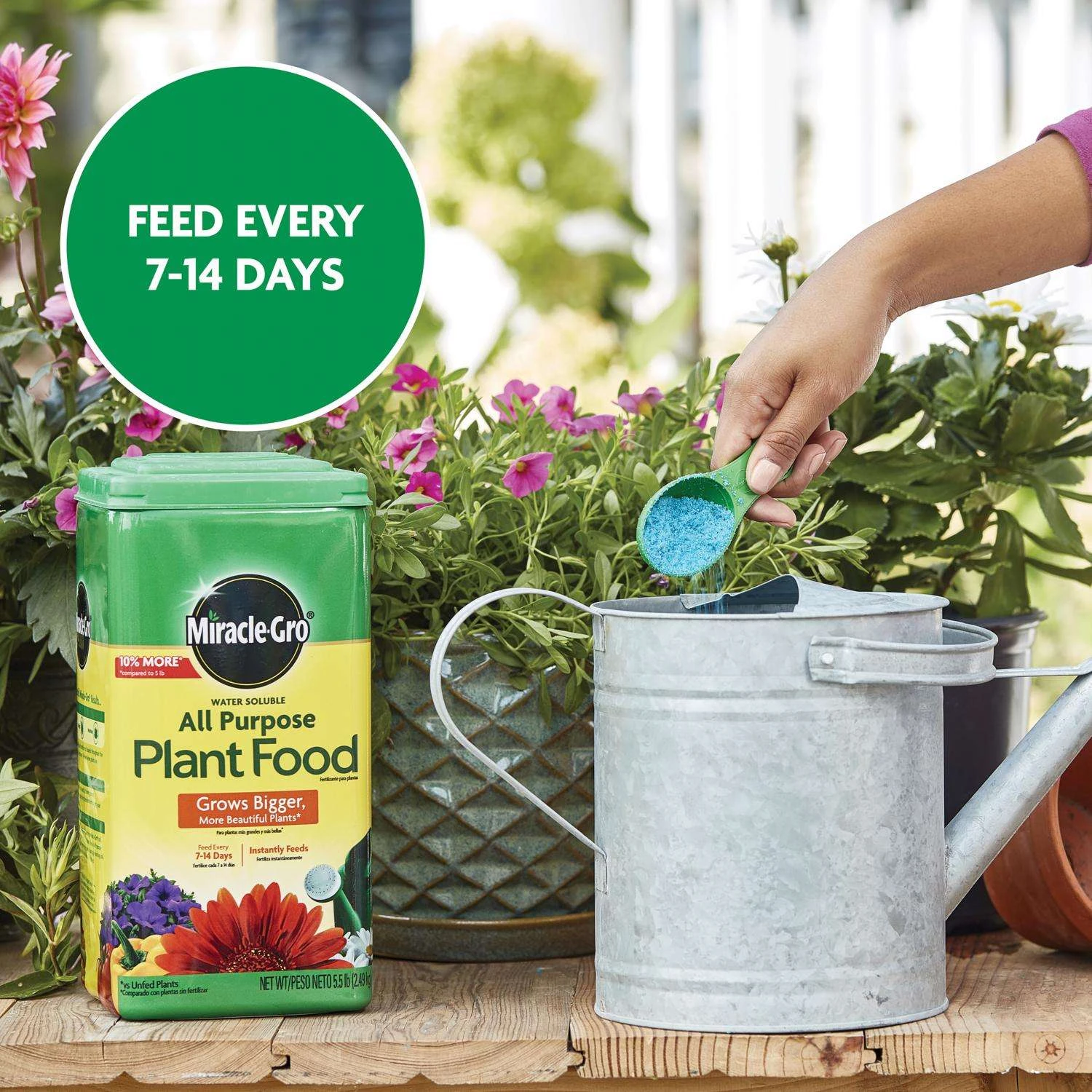 Miracle-Gro Granules All Purpose Plant Food 5.5 Lb - Image 9