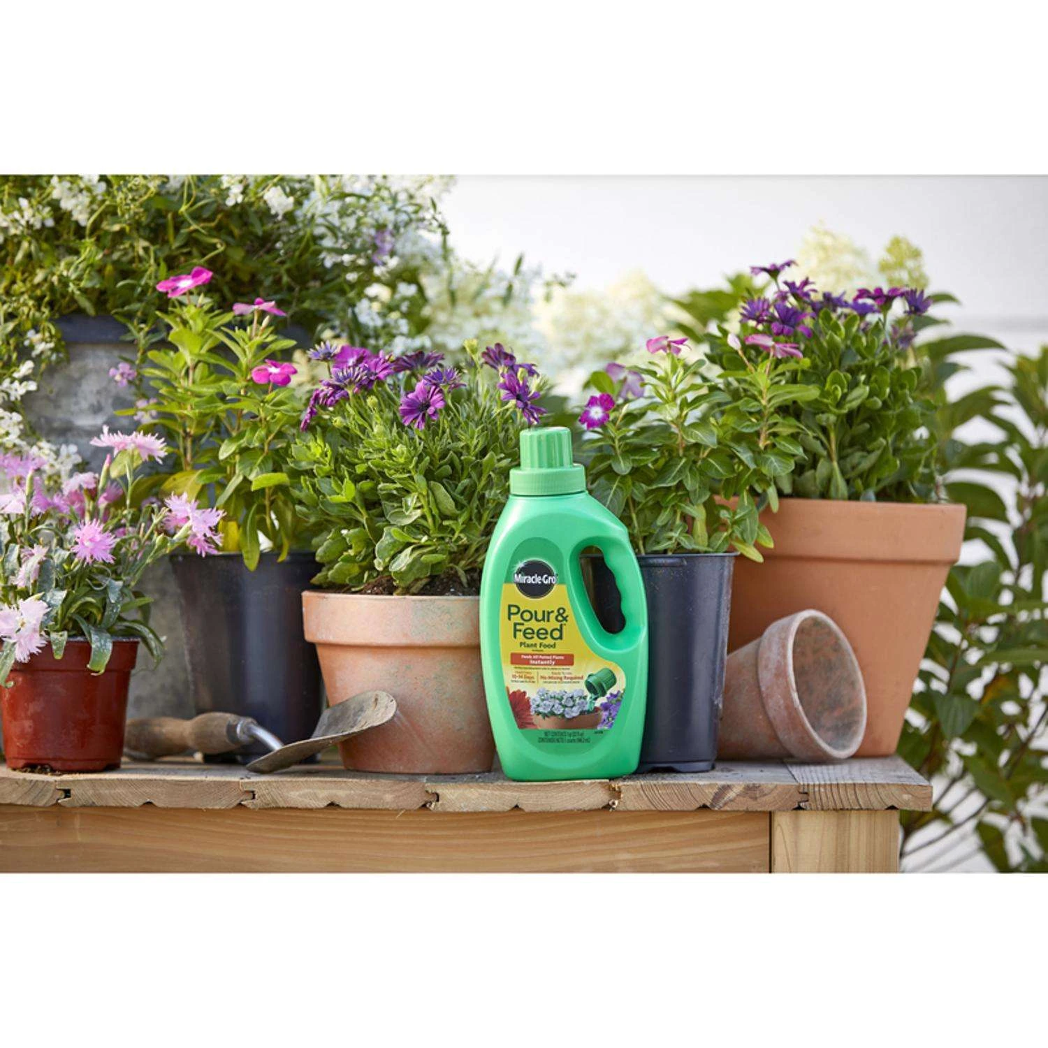 Miracle-Gro Pour & Feed Liquid Plant Food 32 Oz - Image 4