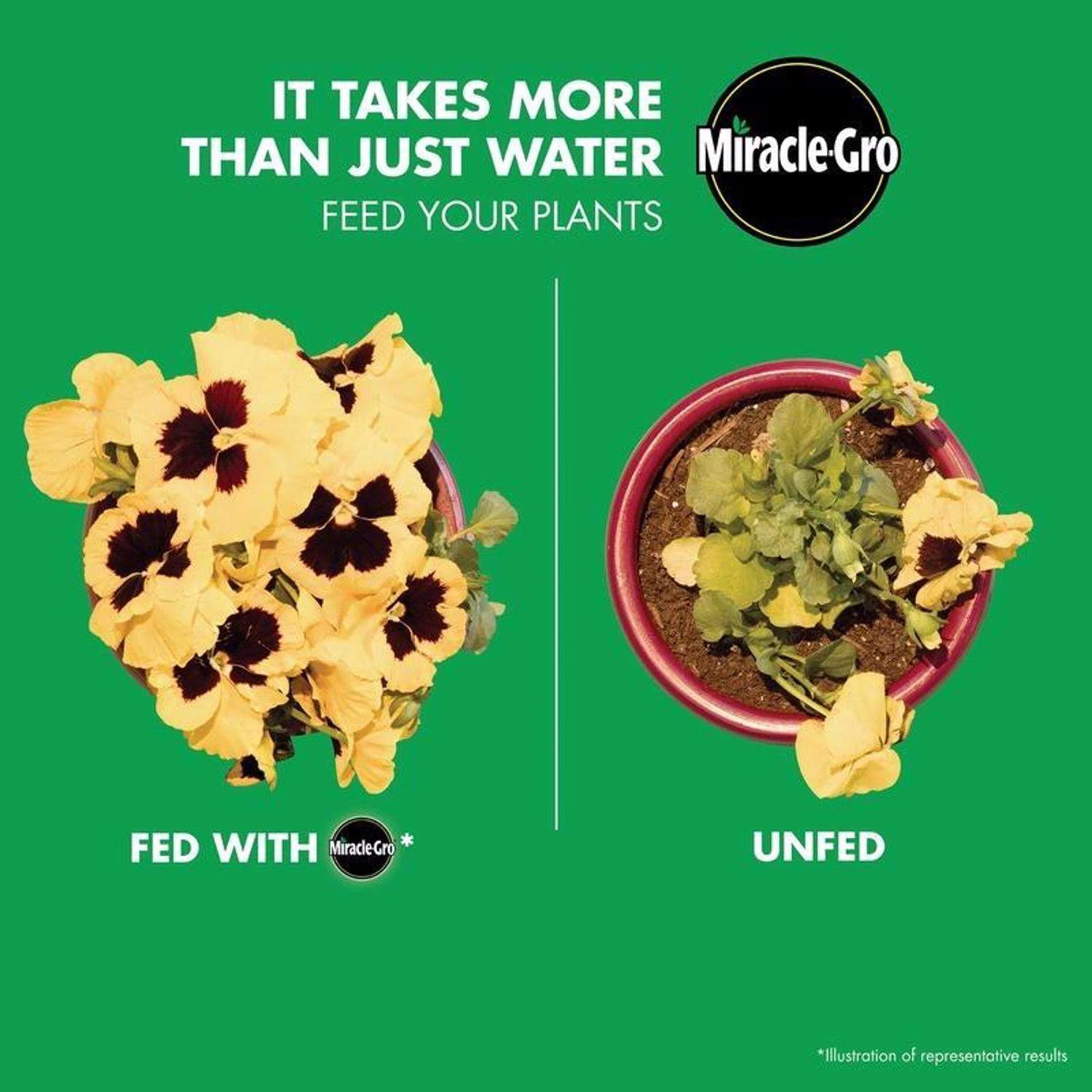 Miracle-Gro Watering Can Singles Powder All Purpose Plant Food 24 Pk - Image 7