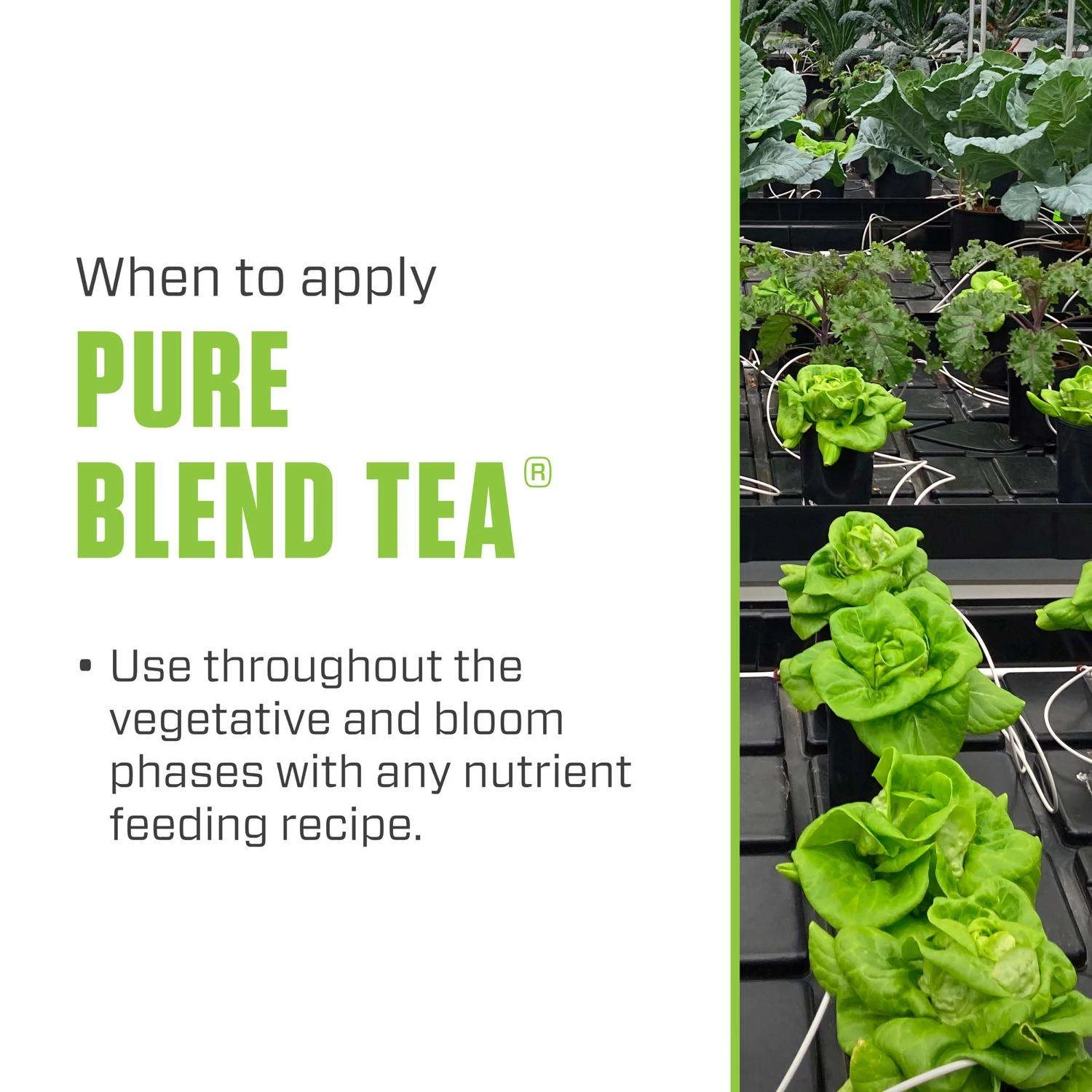 Botanicare Pure Blend Tea Organic Liquid Plant Supplement 1 Gal - Image 5