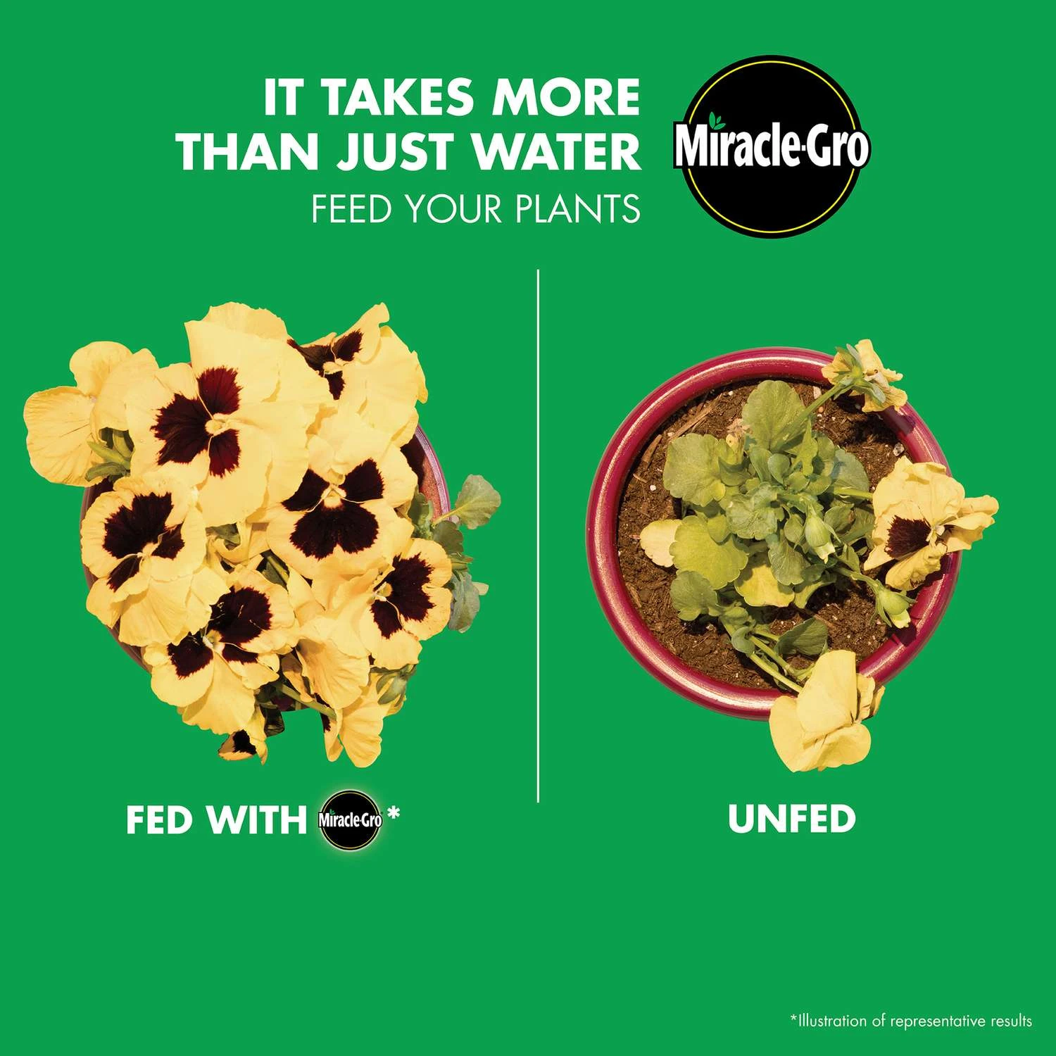 Miracle-Gro LiquaFeed Liquid All Purpose Plant Food 16 Oz - Image 6