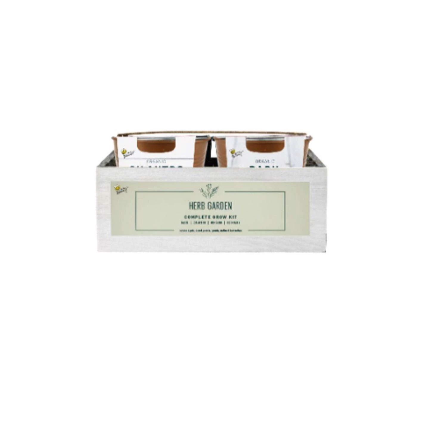 Buzzy Assorted Herbs Gift Box Planter 4 Pk