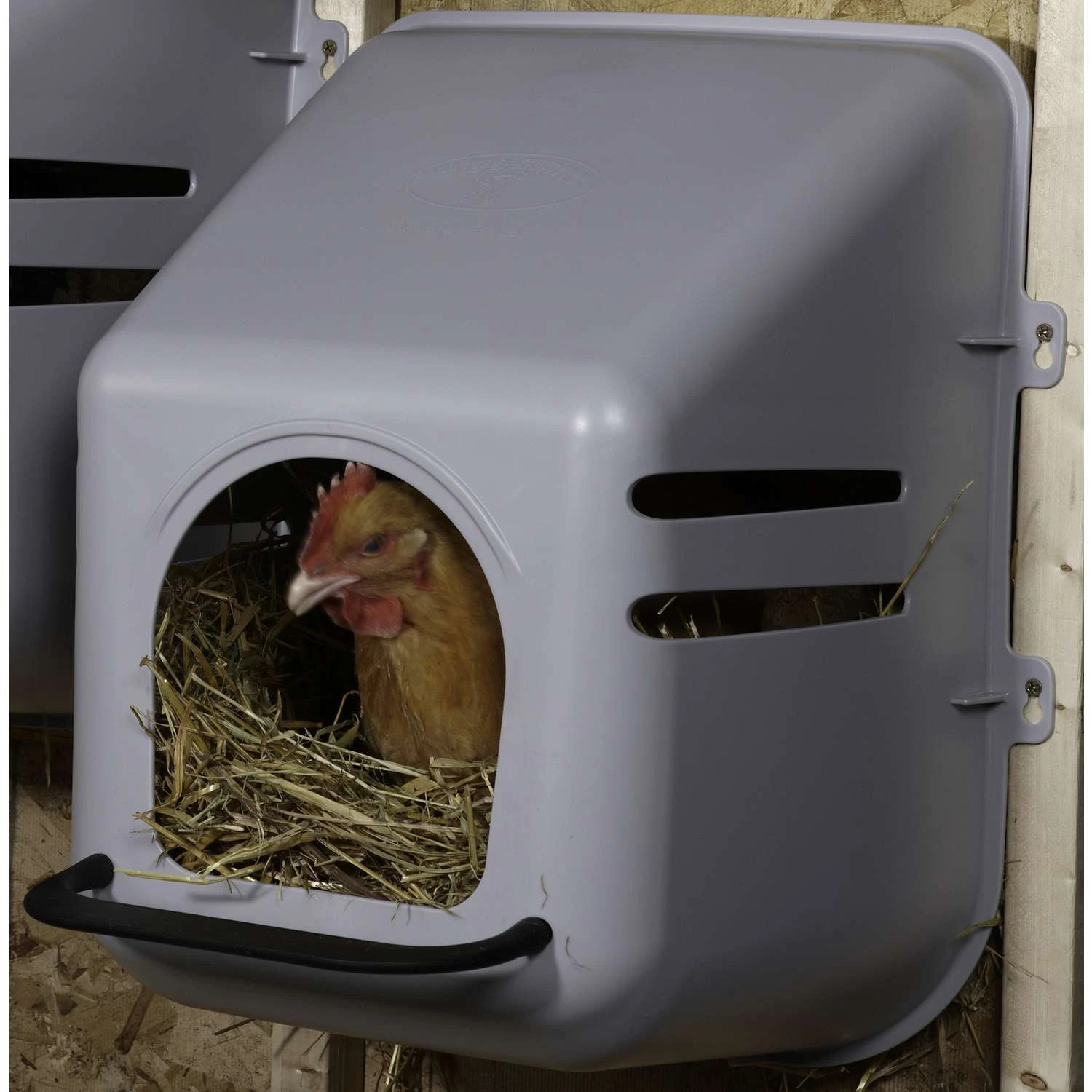 Little Giant 3 Gal Plastic Nesting Box - Image 3