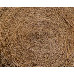 Locally Sourced Pinestraw Roll