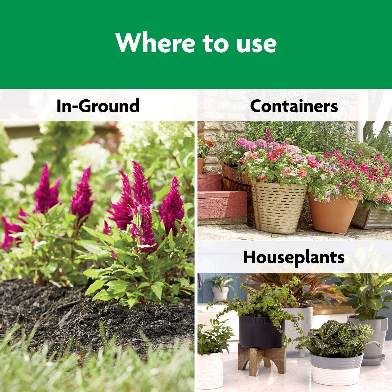 Miracle-Gro Shake 'n Feed Granules All Purpose Plant Food 8 Lb - Image 6