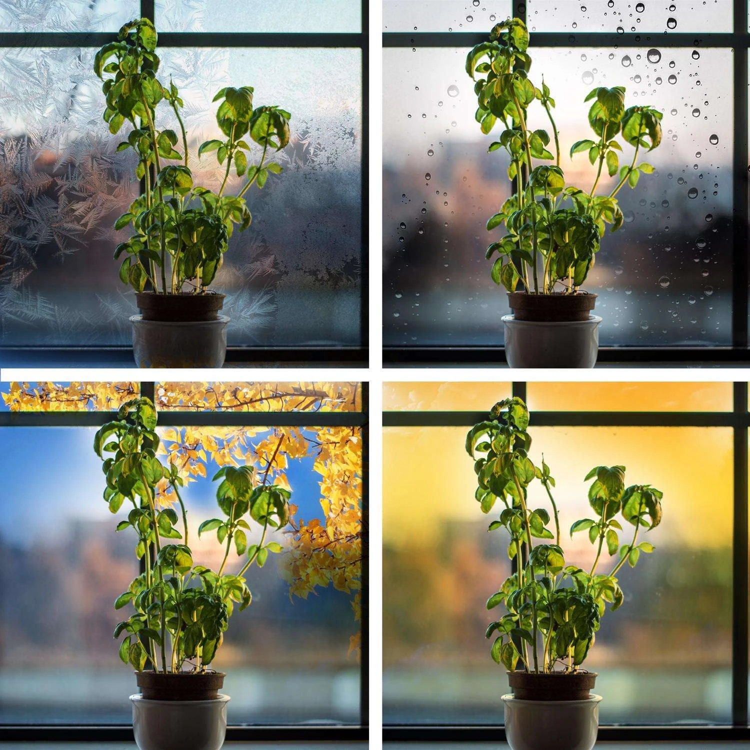 Feit Grow Fixutres Hydroponic Grow Light 13.5 W - Image 5