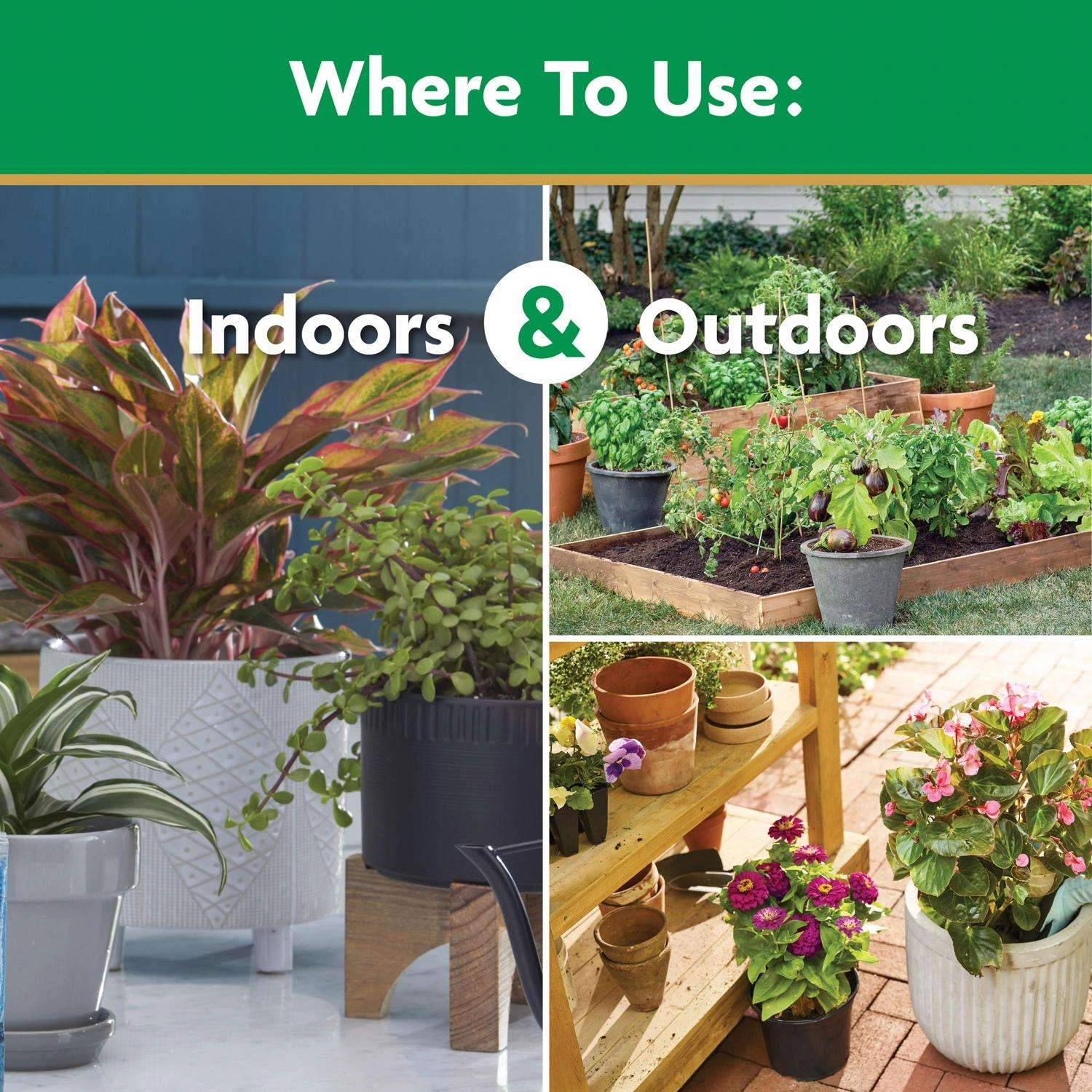 Miracle-Gro Granules All Purpose Plant Food 10 Lb - Image 5