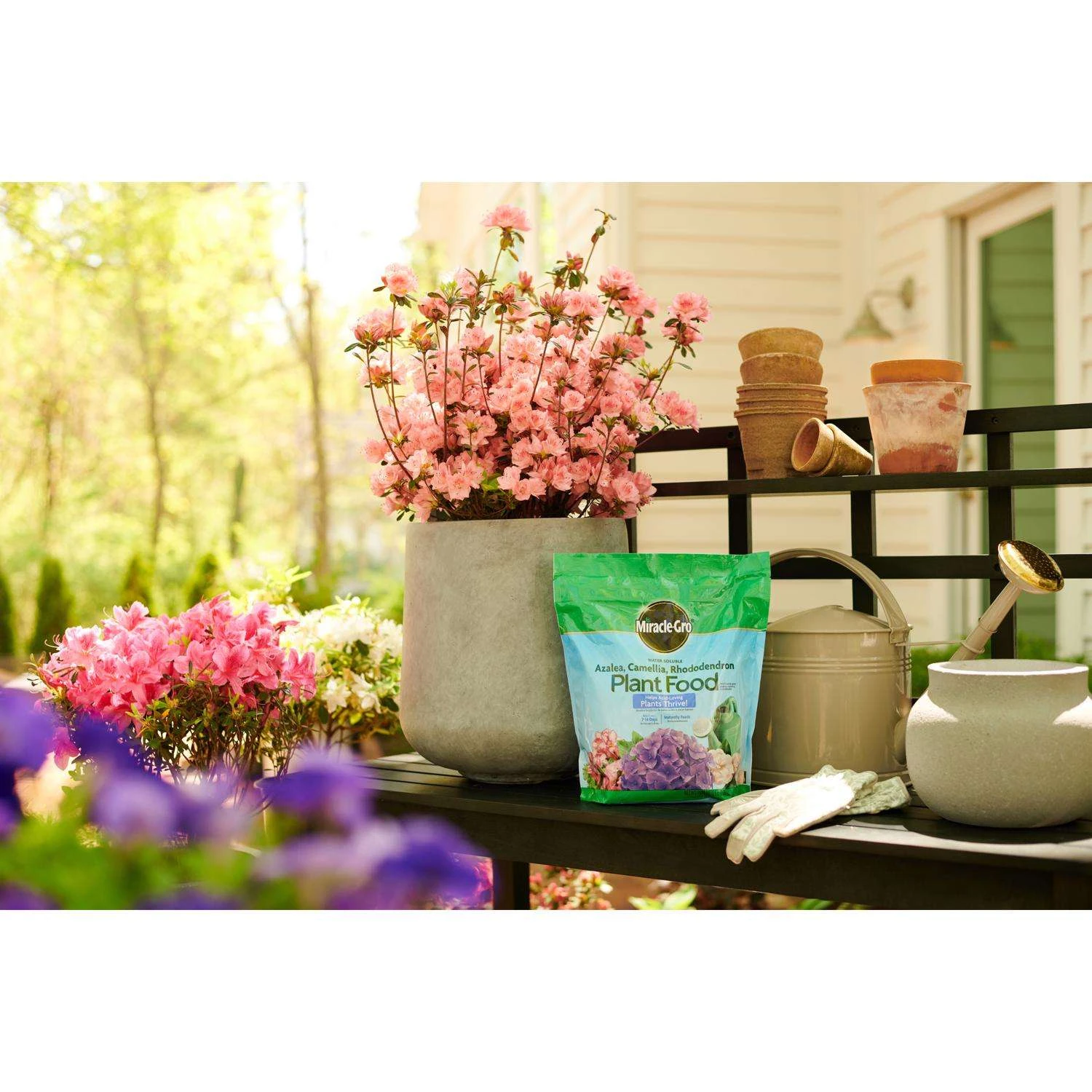Miracle-Gro Powder Acid-Loving Plants Of Azalea, Camellia, Rhododendron Plant Food 5 Lb - Image 4