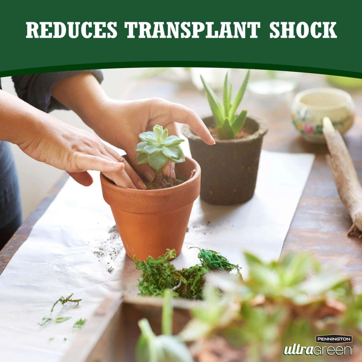 Pennington UltraGreen Liquid Plant Supplement 60 Oz - Image 4