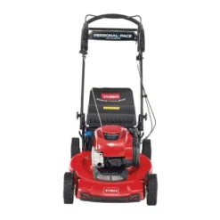 Toro Recycler 21462 22 In. 163 Cc Gas Self-Propelled Lawn Mower