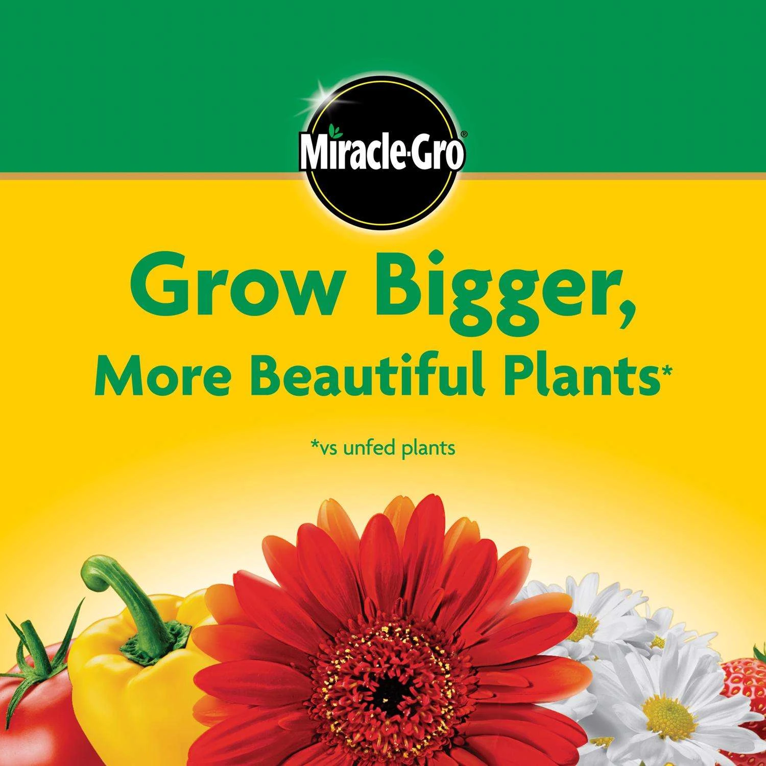Miracle-Gro Granules All Purpose Plant Food 10 Lb - Image 7