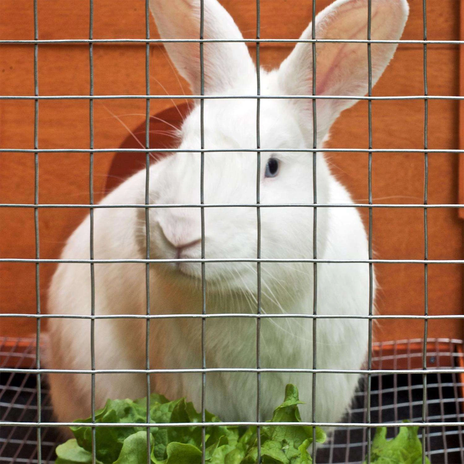 IronRidge 24 In. H X 15 Ft. L Galvanized Steel Welded Wire Fence 1 In. - Image 4