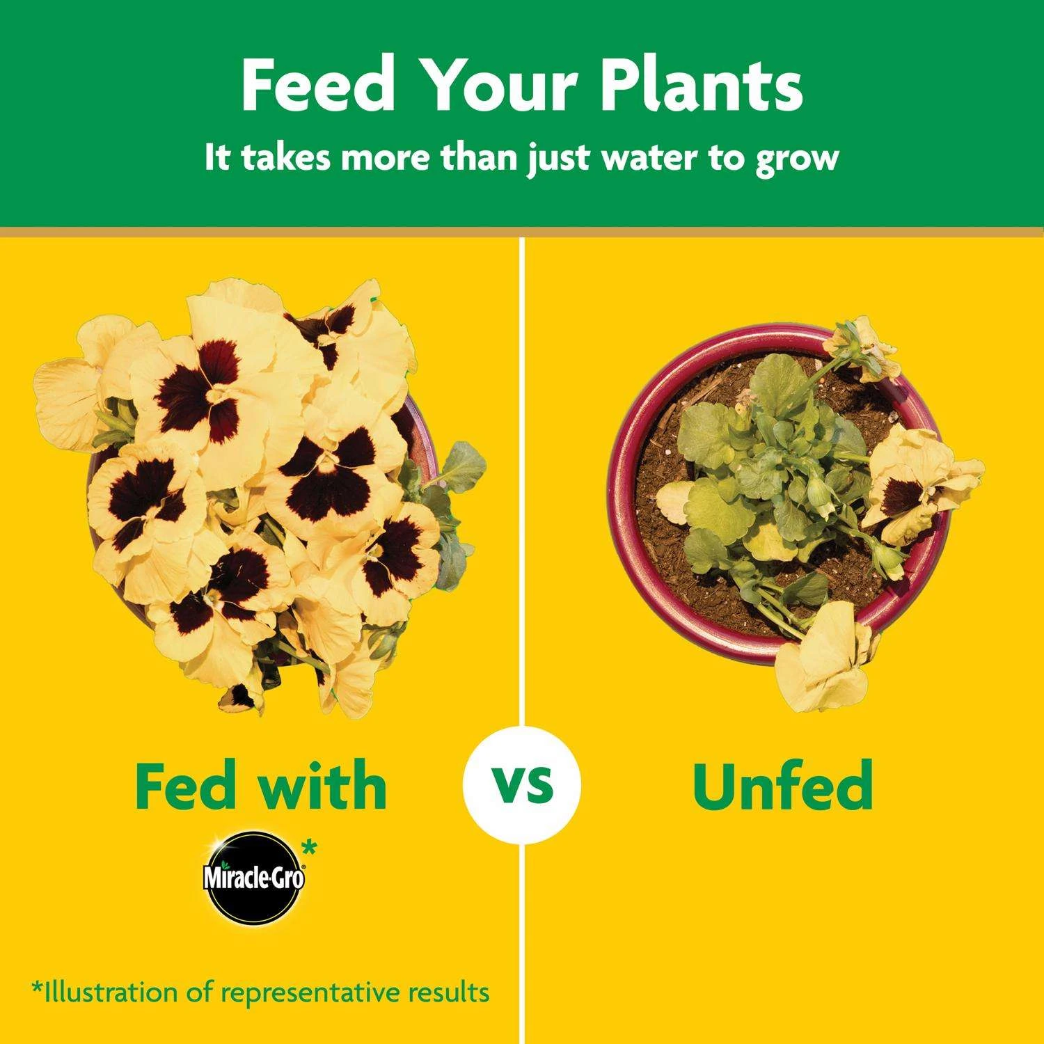 Miracle-Gro Granules All Purpose Plant Food 10 Lb - Image 8