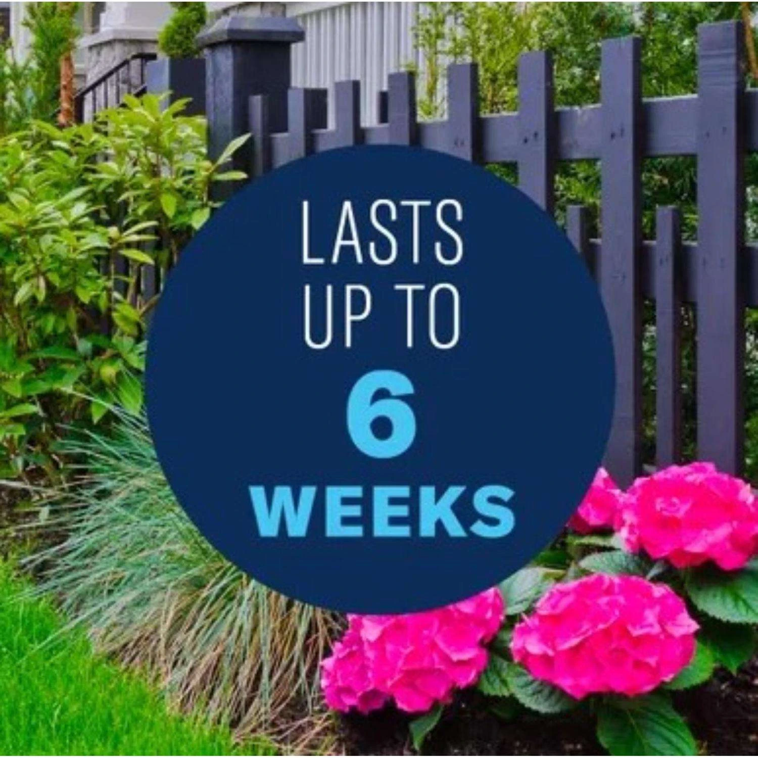 BioAdvanced Rose & Flower Care Granules Plant Food 4 Lb - Image 4