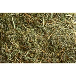 Locally Sourced Grass / Alfalfa Hay Mix Bale