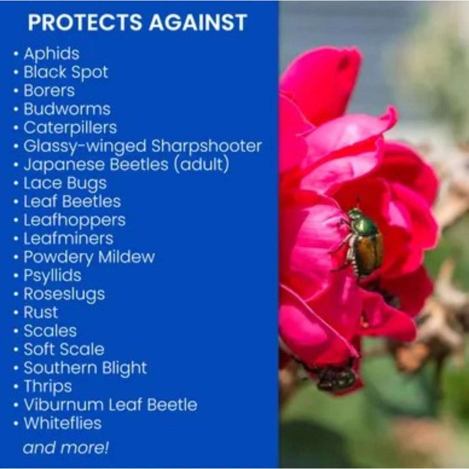 BioAdvanced Rose & Flower Care Granules Plant Food 4 Lb - Image 2