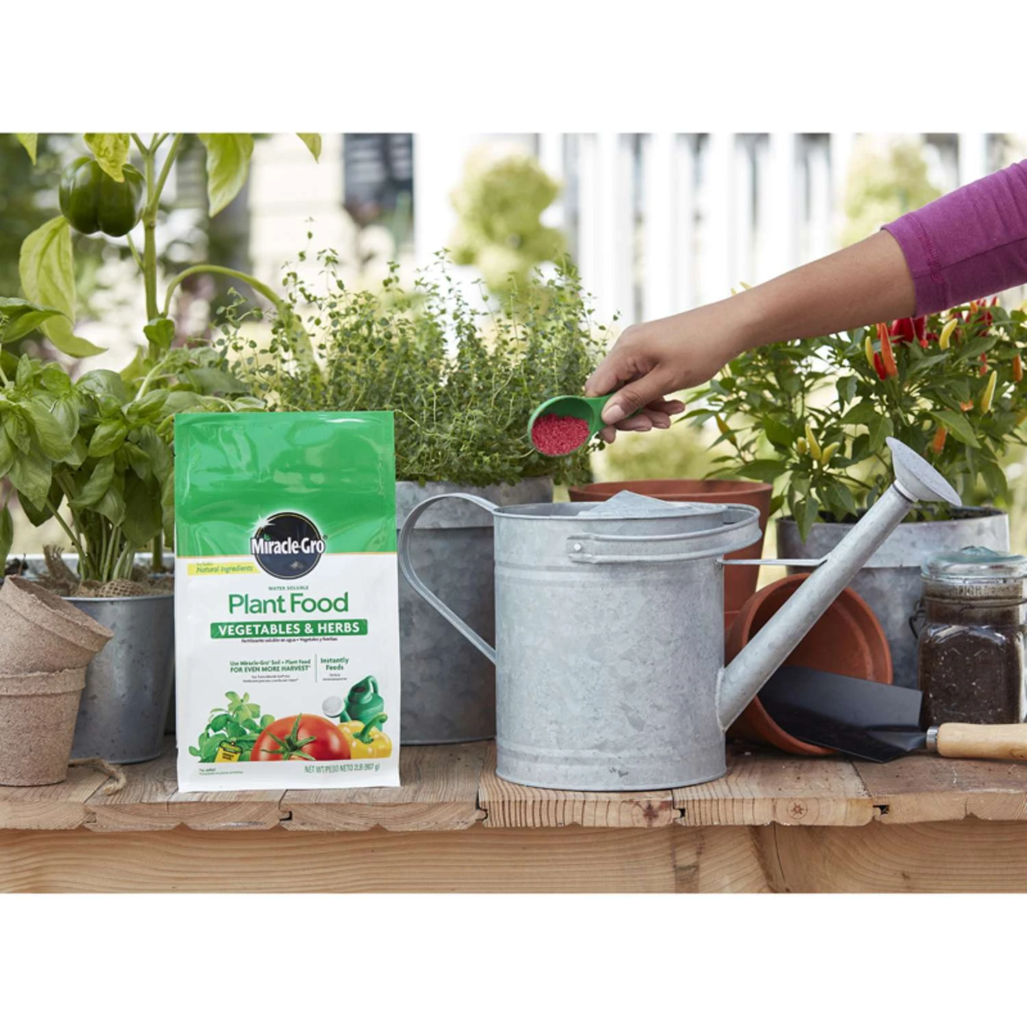 Miracle-Gro Granules Plant Food 2 Lb - Image 4