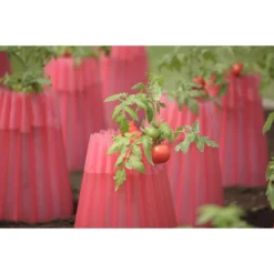 Bosmere 18 In. L X 15 In. W 2 Pk Plant Protector